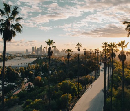 Los Angeles skyline at sunset with palm trees in foreground